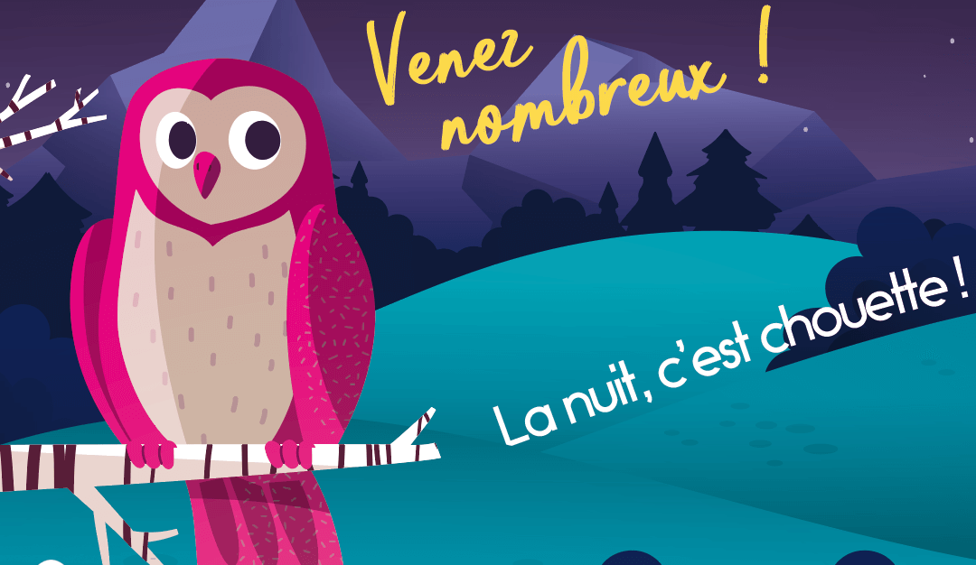 16/11 : La nuit, c’est chouette !